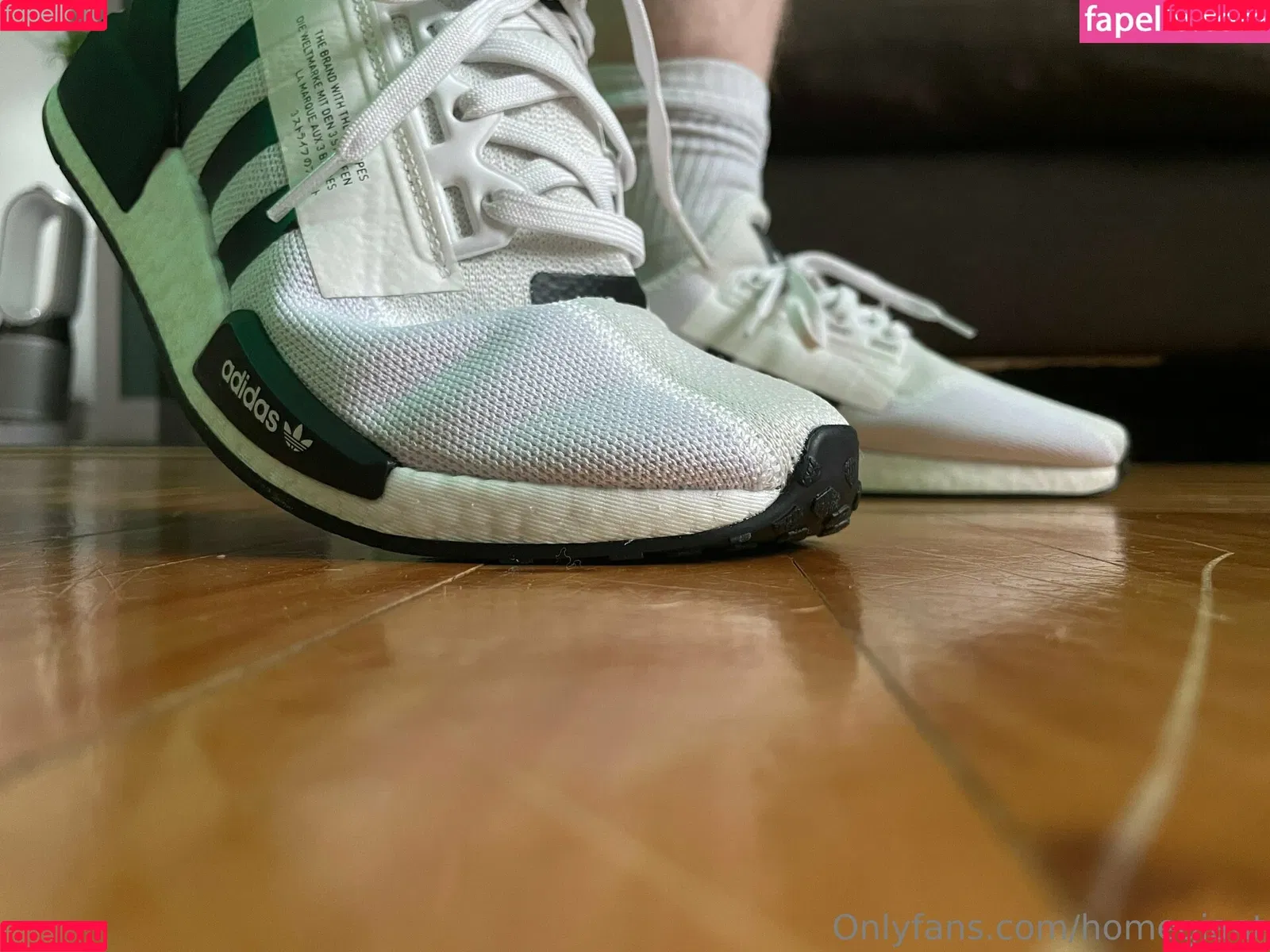 homegiant Onlyfans Photo Gallery 