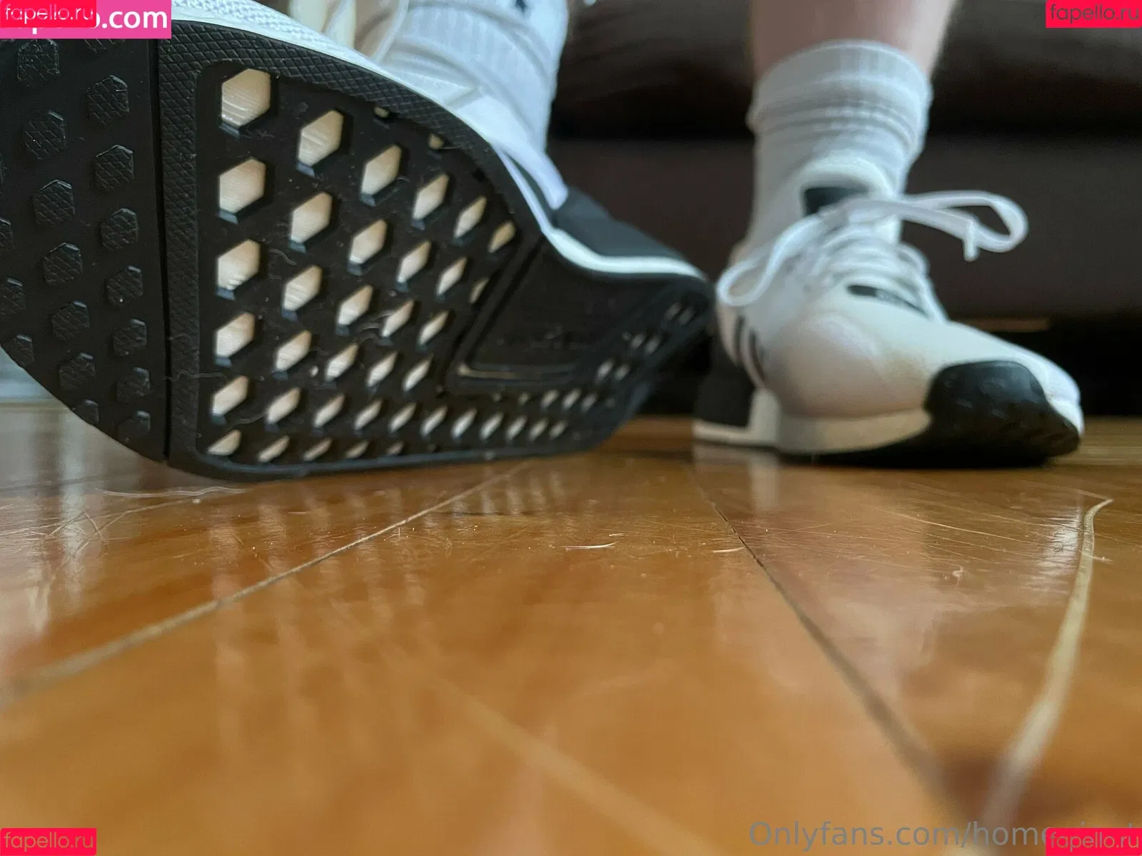 homegiant Onlyfans Photo Gallery 
