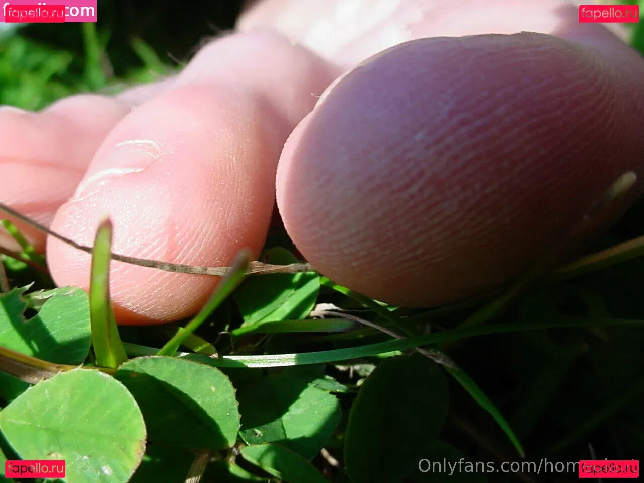 homegiant Onlyfans Photo Gallery 