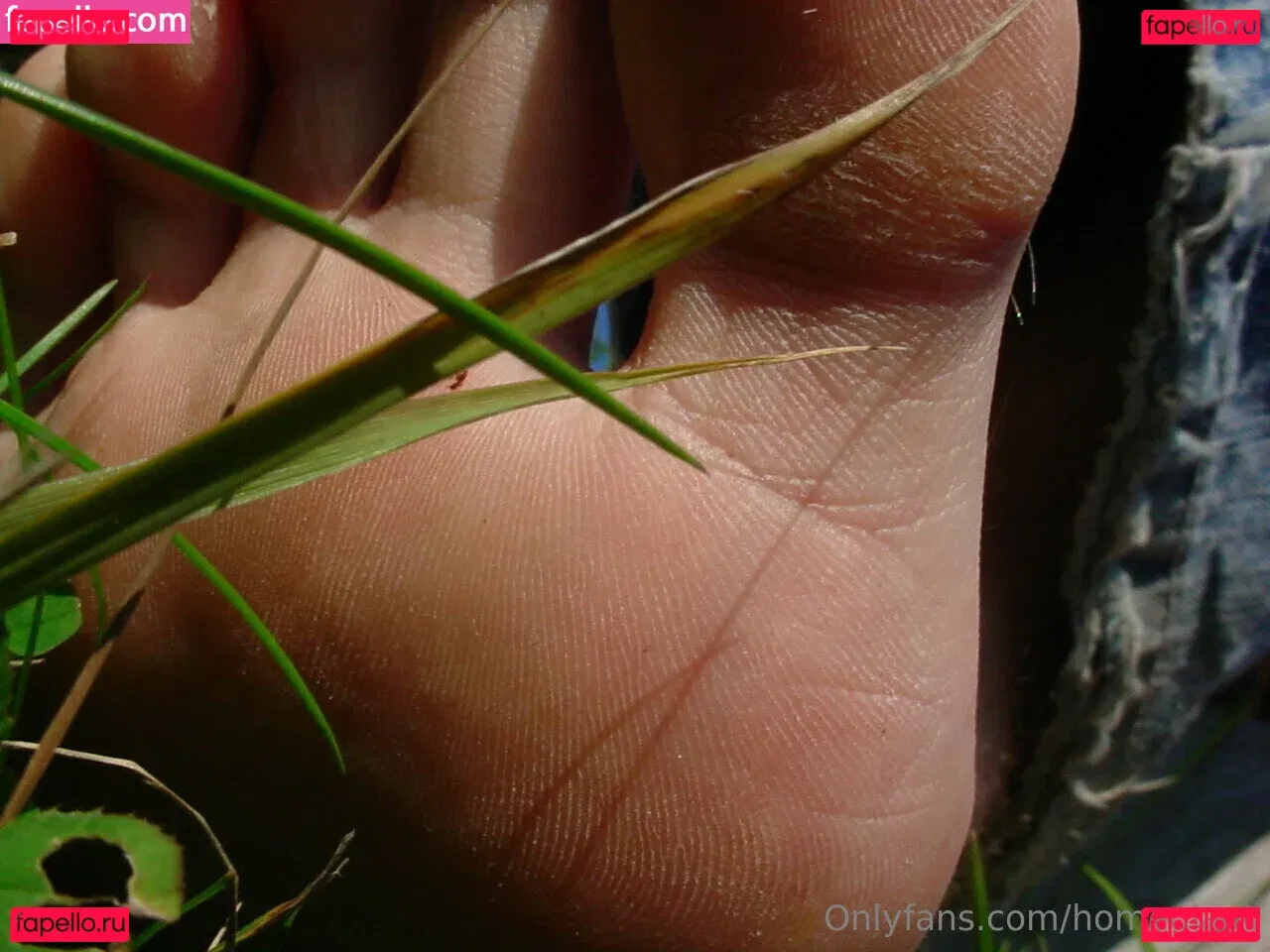 homegiant Onlyfans Photo Gallery 