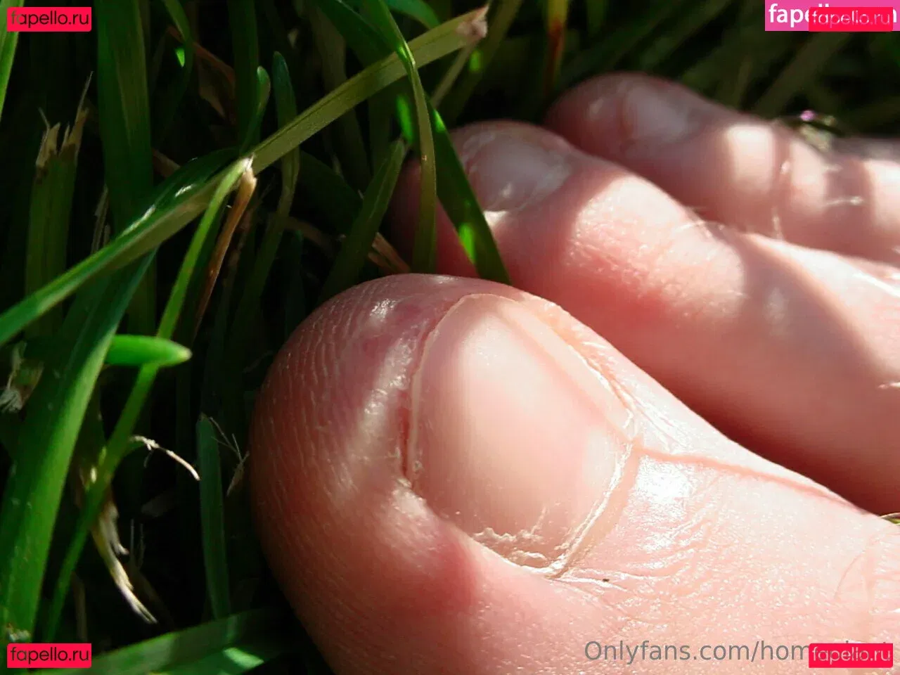 homegiant Onlyfans Photo Gallery 