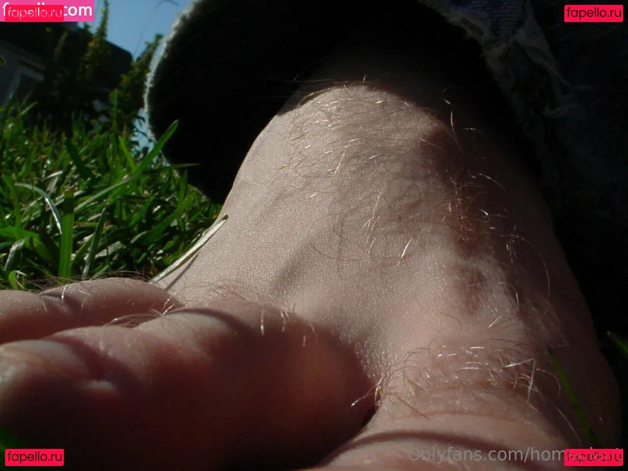 homegiant Onlyfans Photo Gallery 