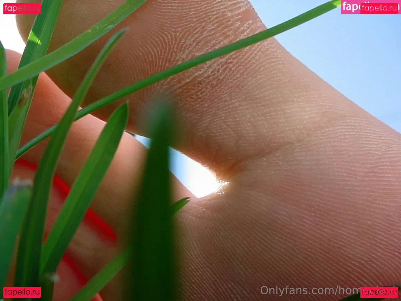 homegiant Onlyfans Photo Gallery 