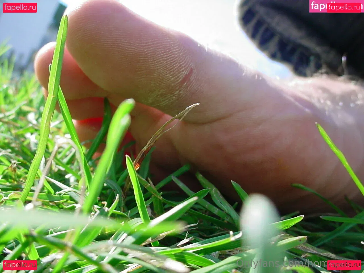 homegiant Onlyfans Photo Gallery 