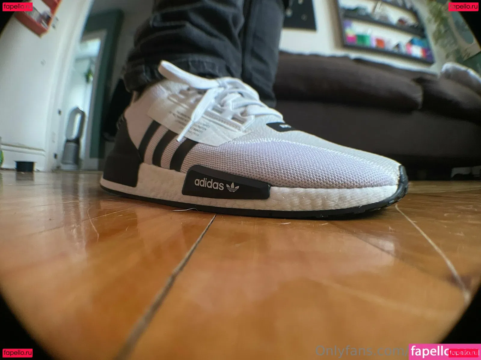 homegiant Onlyfans Photo Gallery 