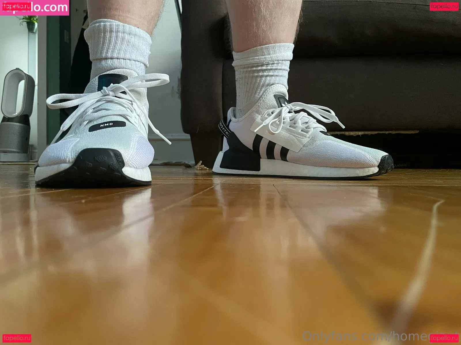 homegiant Onlyfans Photo Gallery 