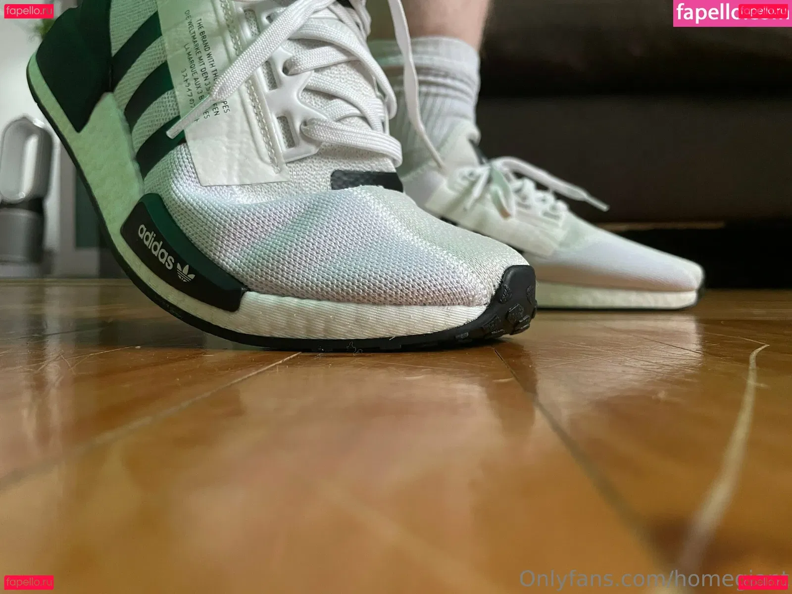 homegiant Onlyfans Photo Gallery 