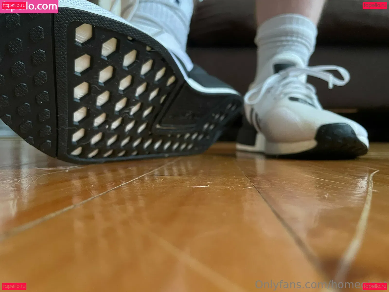 homegiant Onlyfans Photo Gallery 