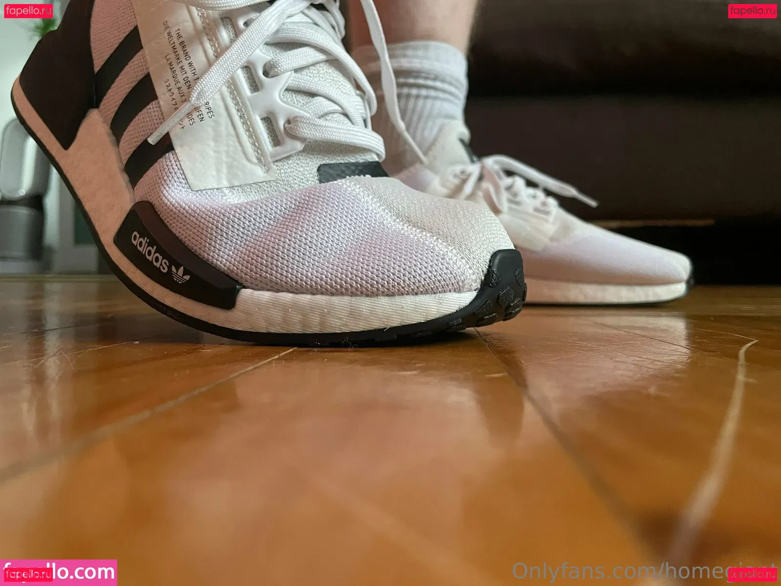 homegiant Onlyfans Photo Gallery 