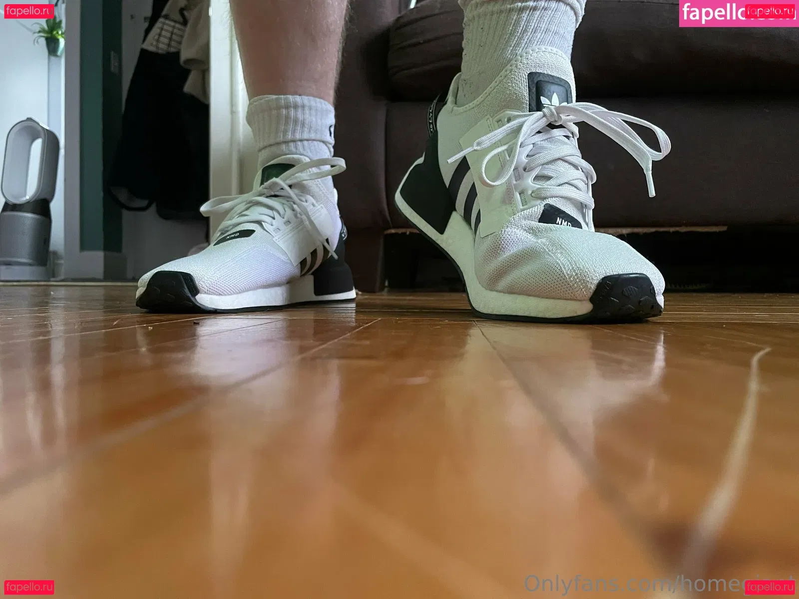 homegiant Onlyfans Photo Gallery 