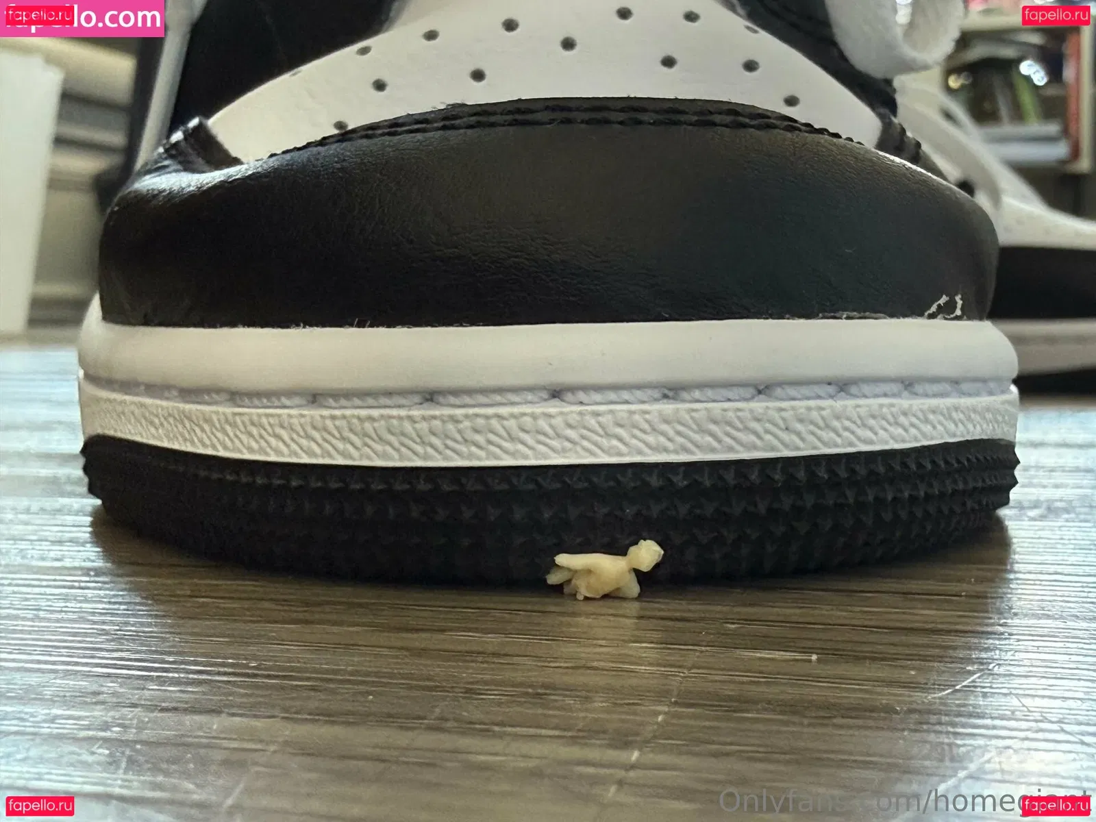 homegiant Onlyfans Photo Gallery 