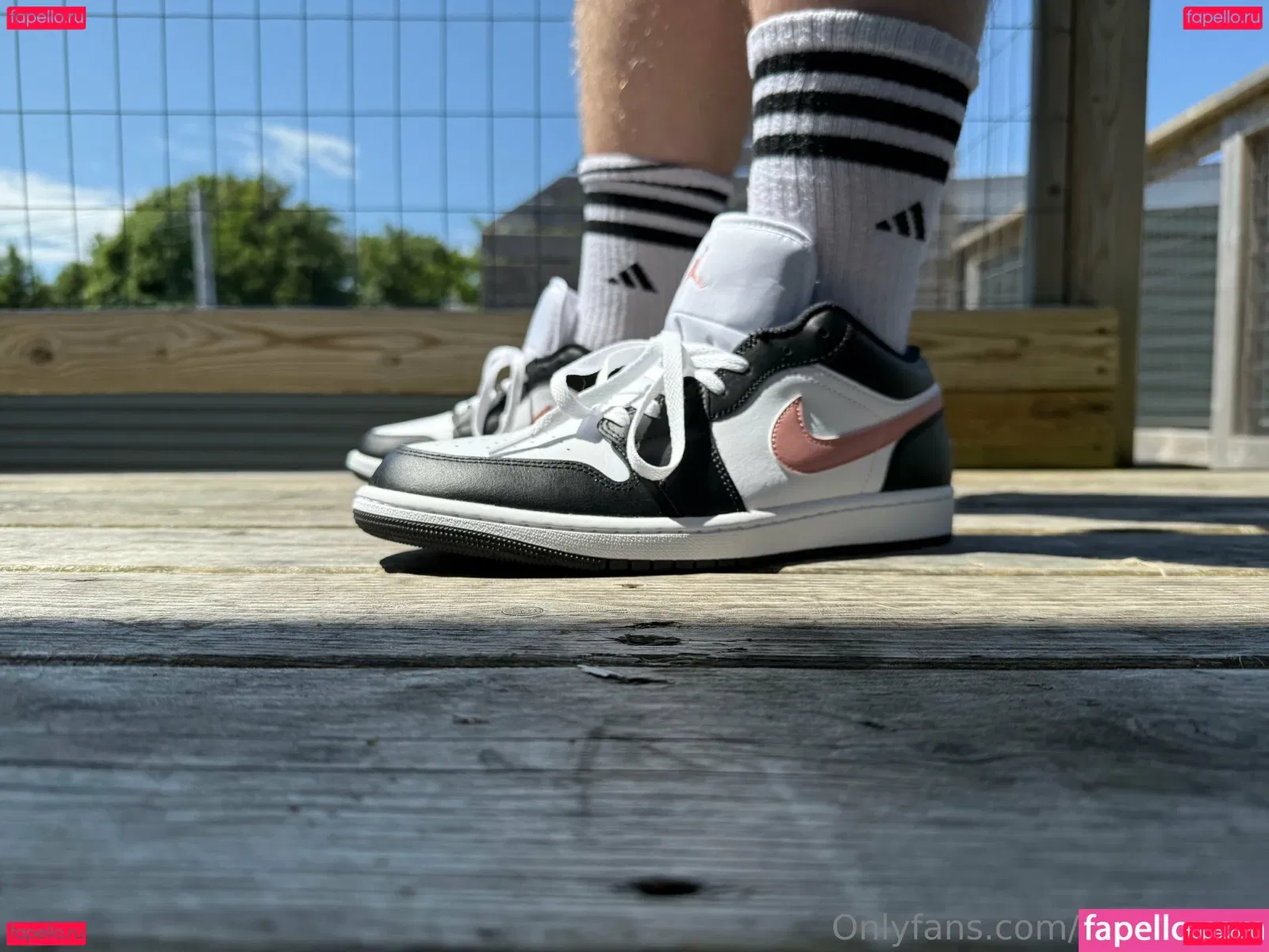 homegiant Onlyfans Photo Gallery 