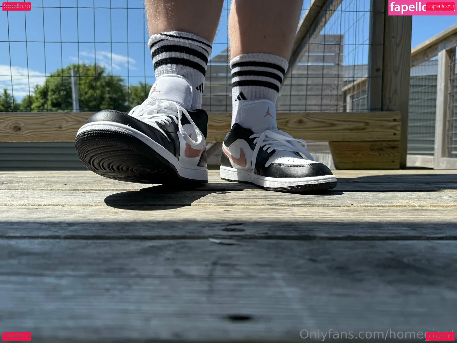 homegiant Onlyfans Photo Gallery 