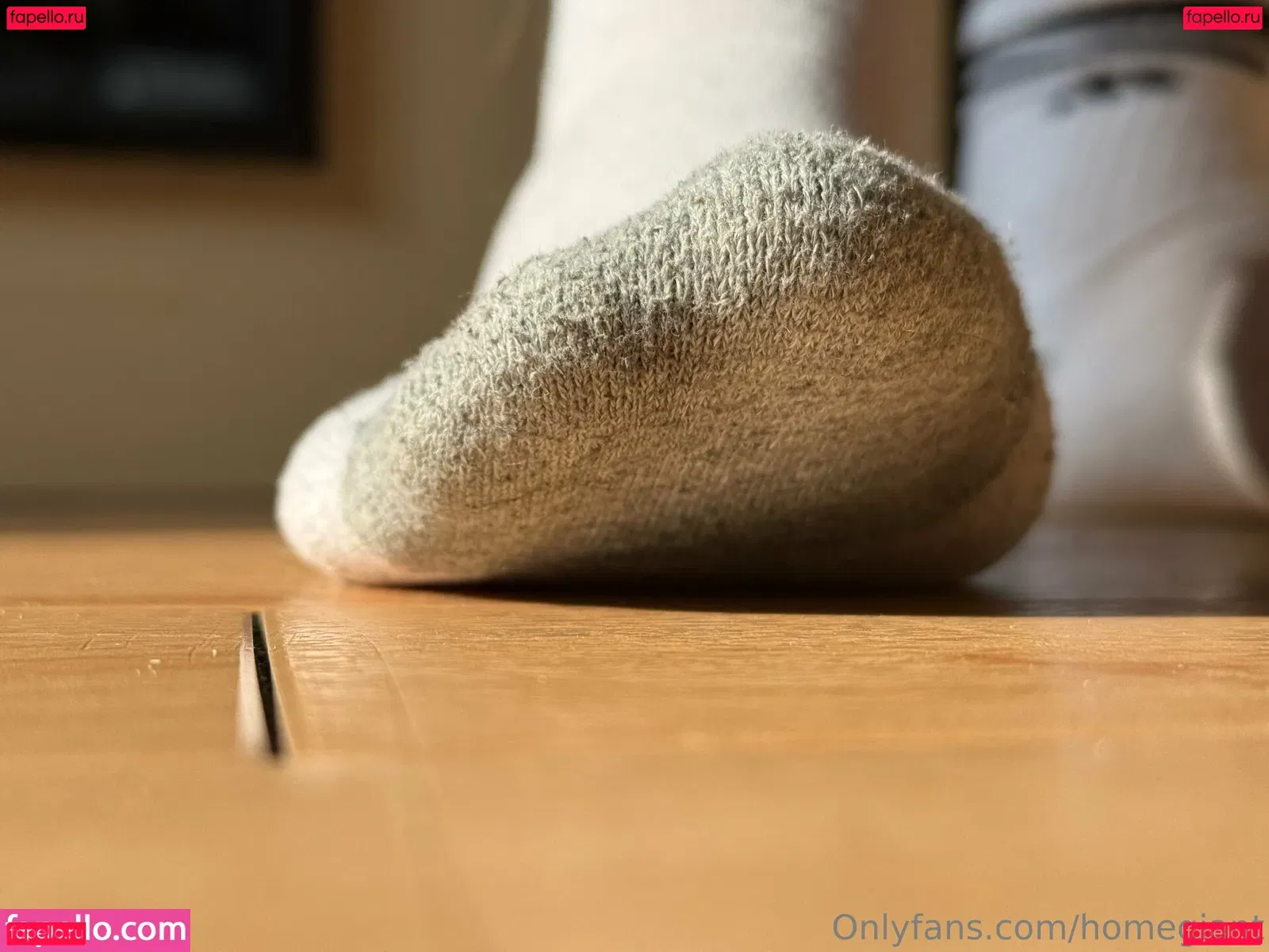 homegiant Onlyfans Photo Gallery 