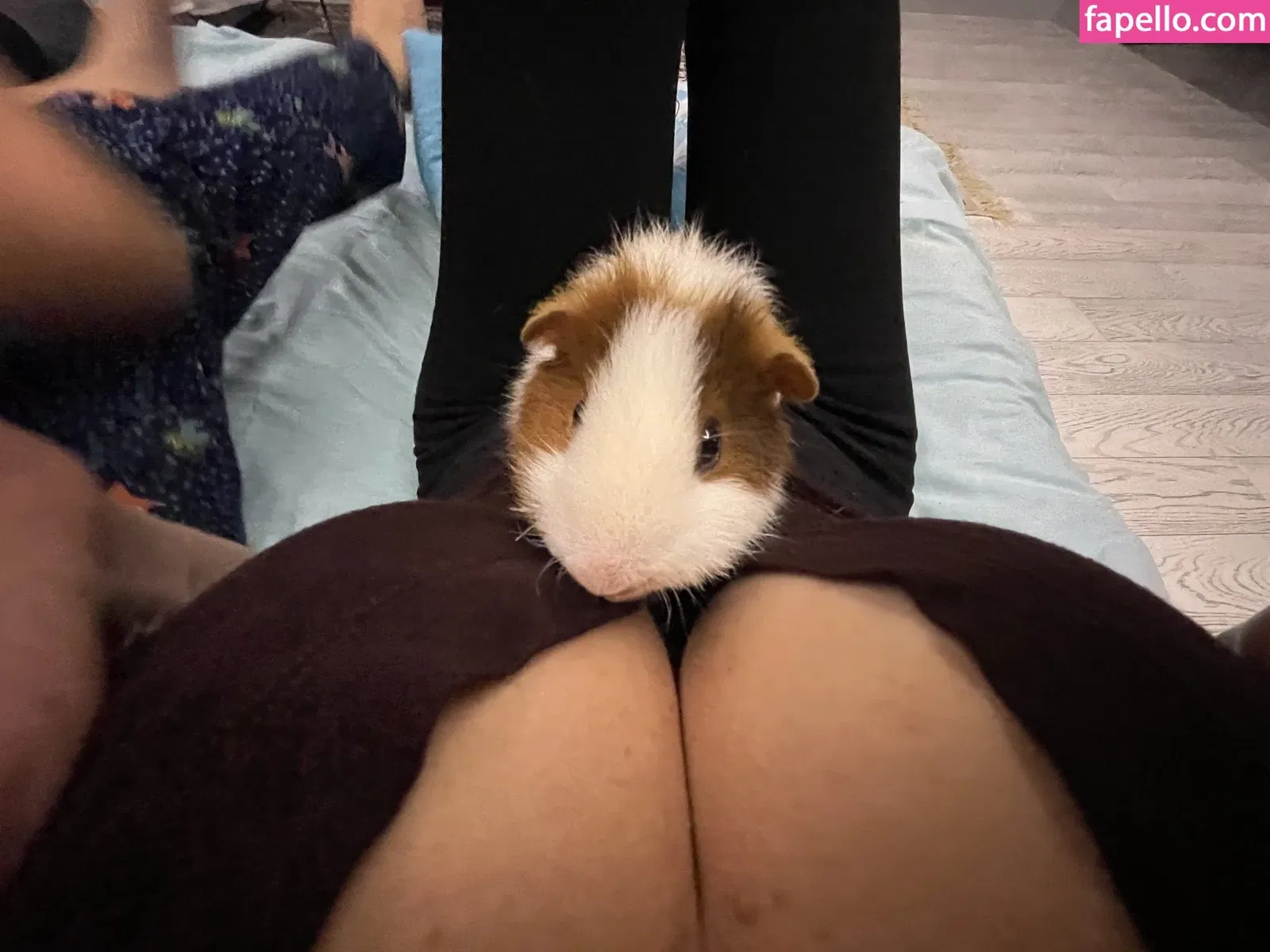 Lisarulit Onlyfans Photo Gallery 