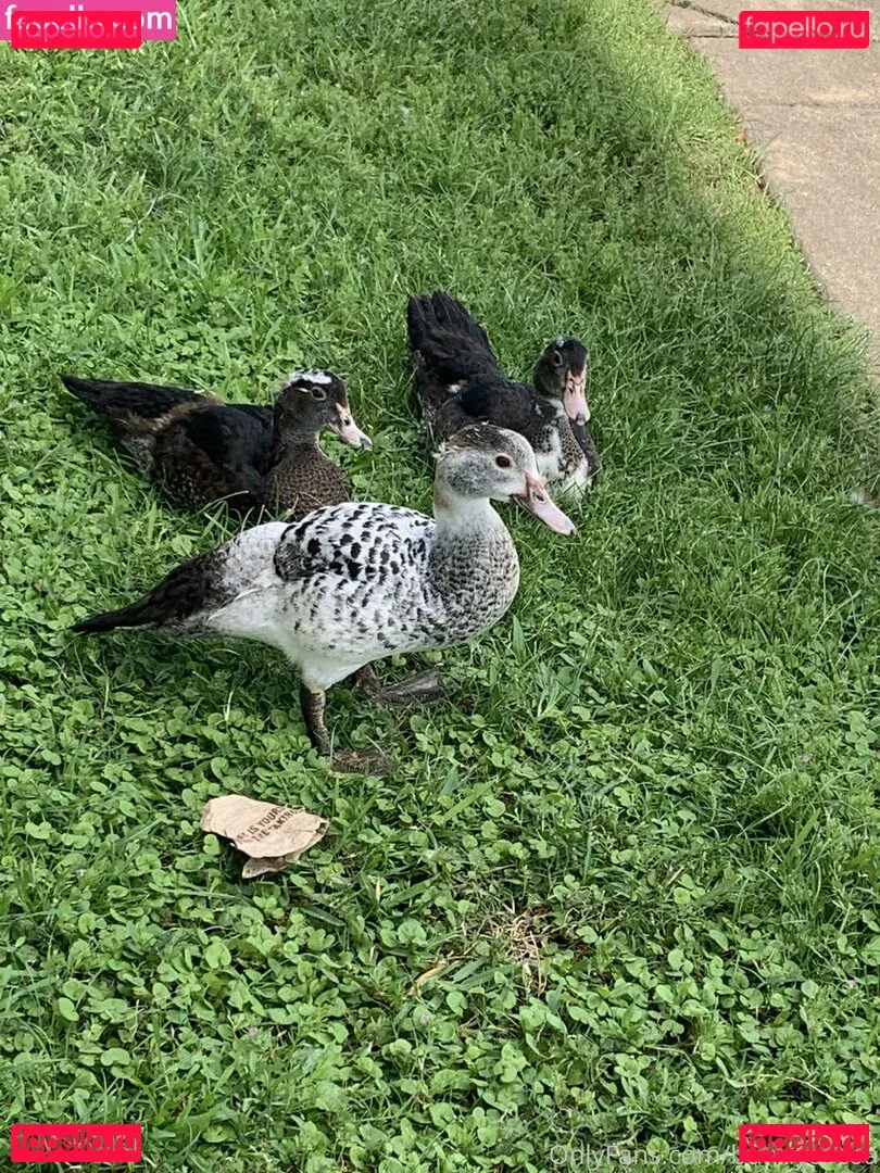 bunnycocoa Onlyfans Photo Gallery 