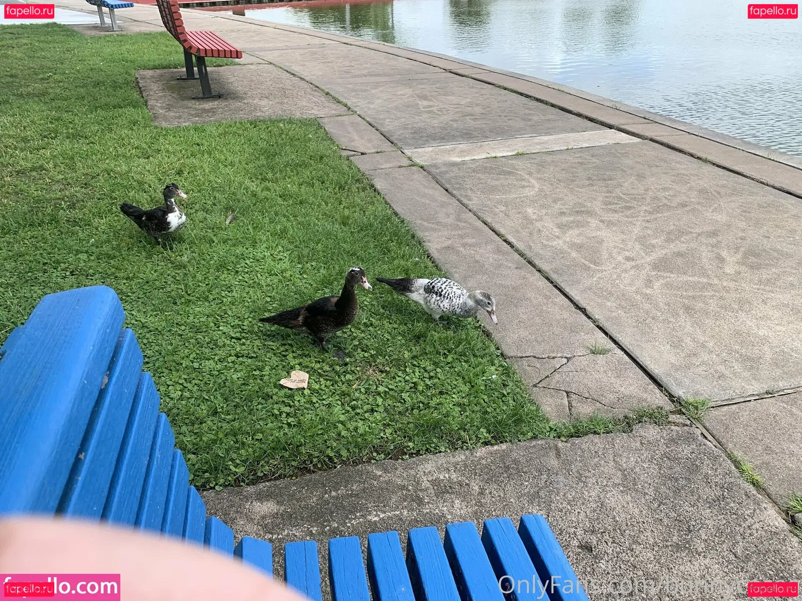 bunnycocoa Onlyfans Photo Gallery 