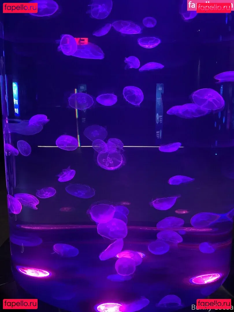 bunnycocoa Onlyfans Photo Gallery 