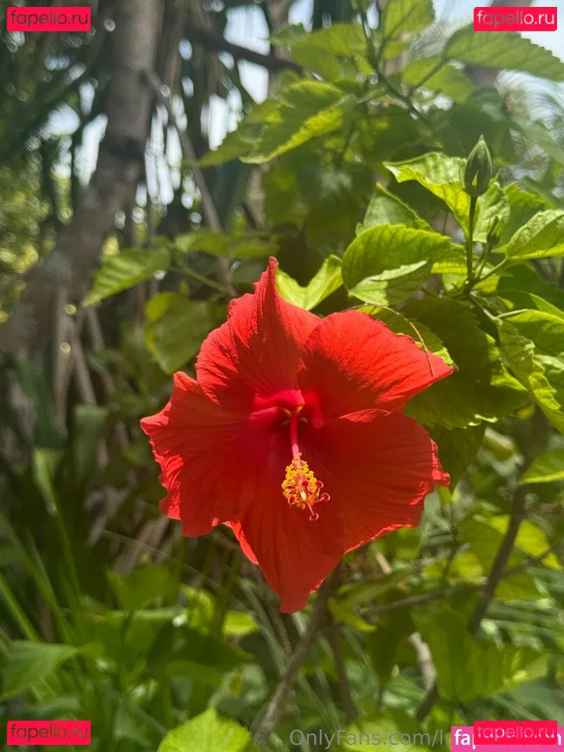 lucys_closet Onlyfans Photo Gallery 