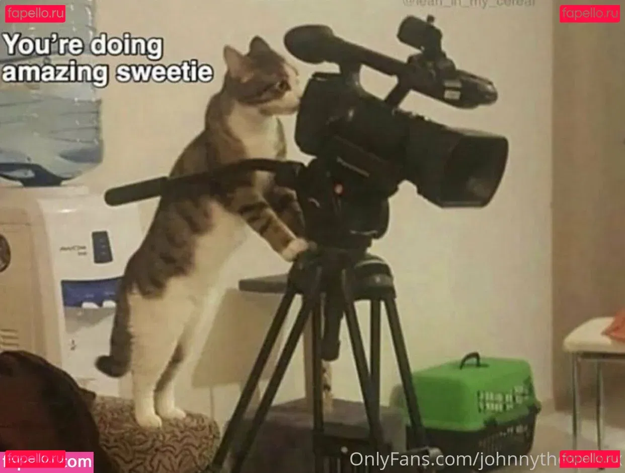 johnnylovesu Onlyfans Photo Gallery 