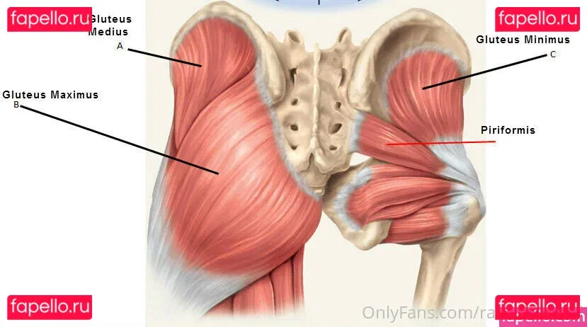 racheldolezal Onlyfans Photo Gallery 