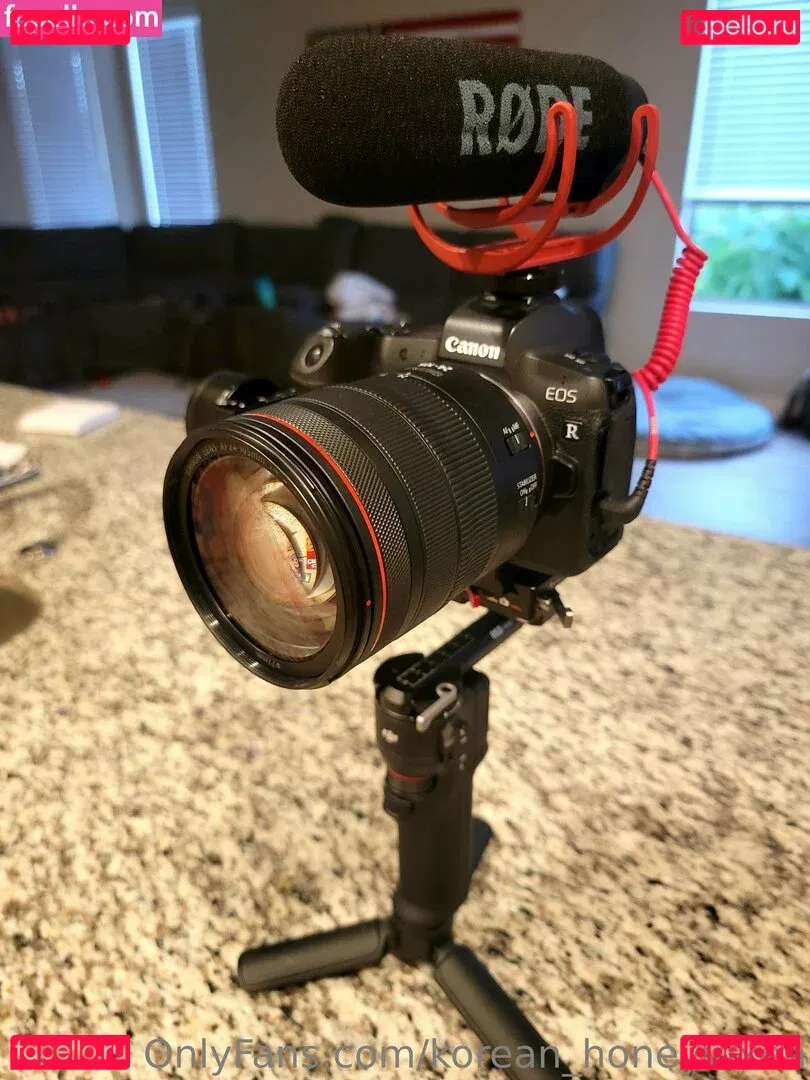 korean_honeyvixen Onlyfans Photo Gallery 