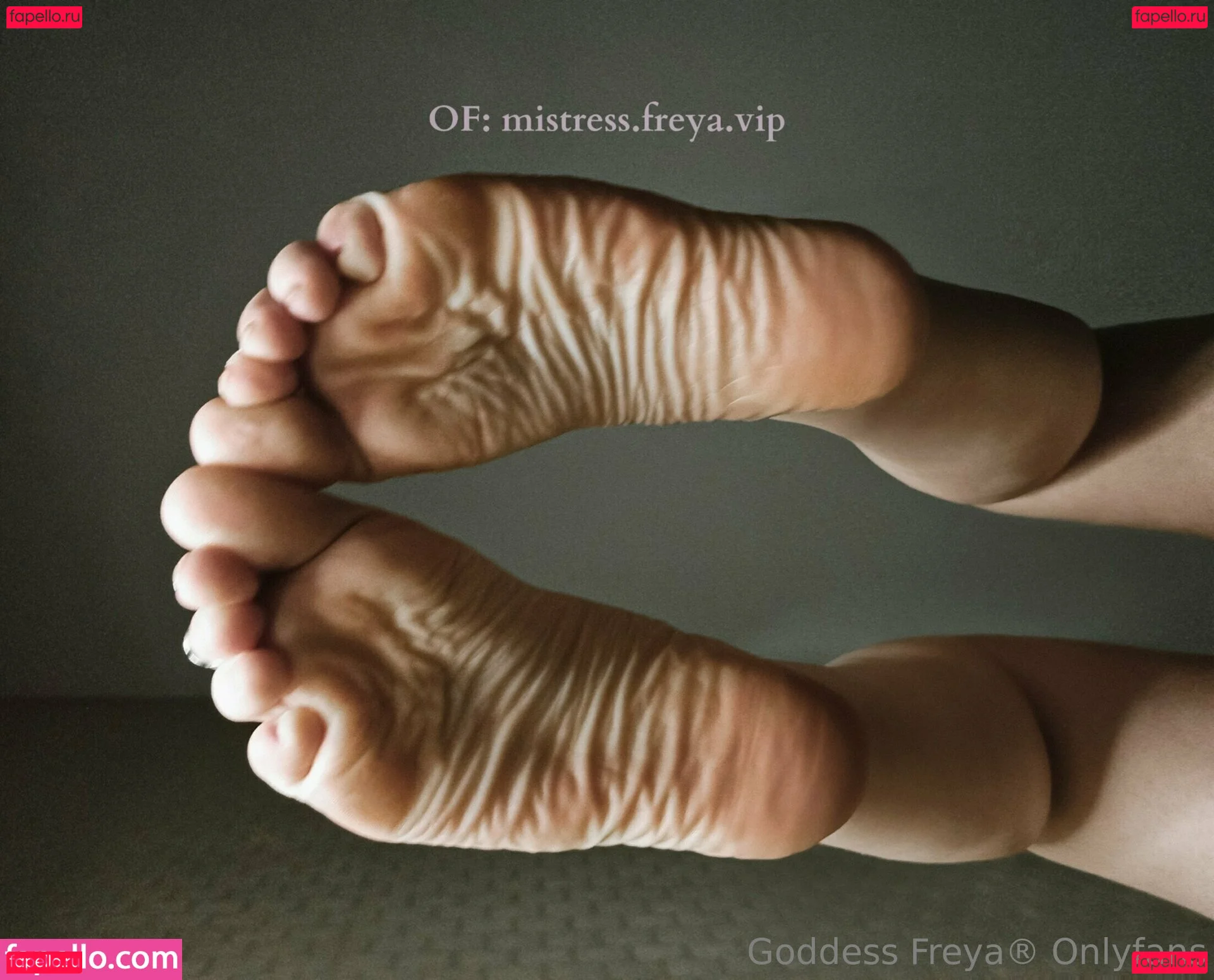 freyas.kingdom Onlyfans Photo Gallery 