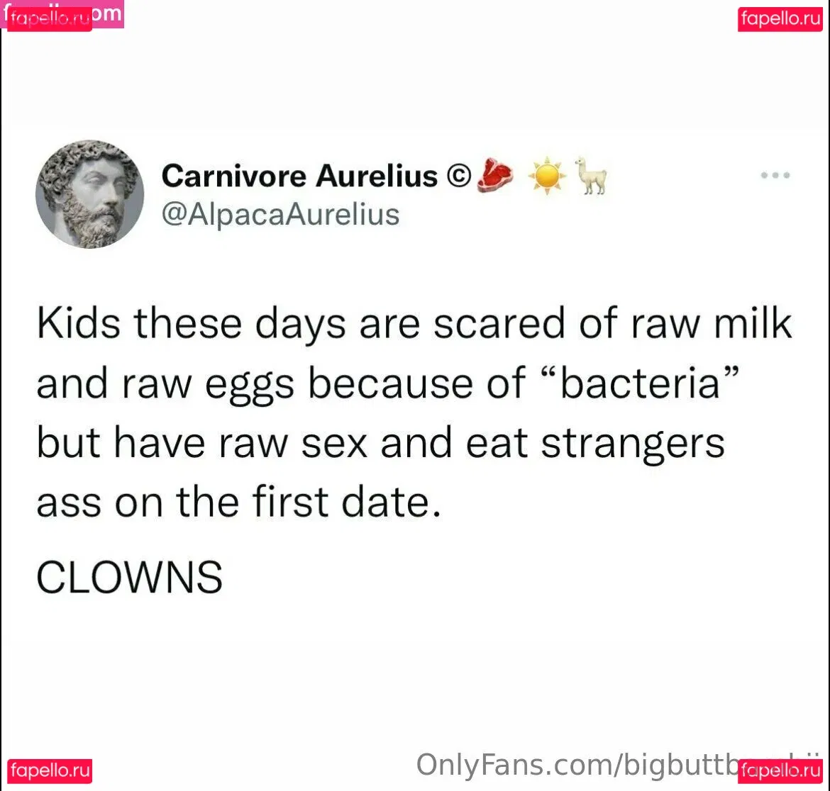 vanessaselene Onlyfans Photo Gallery 