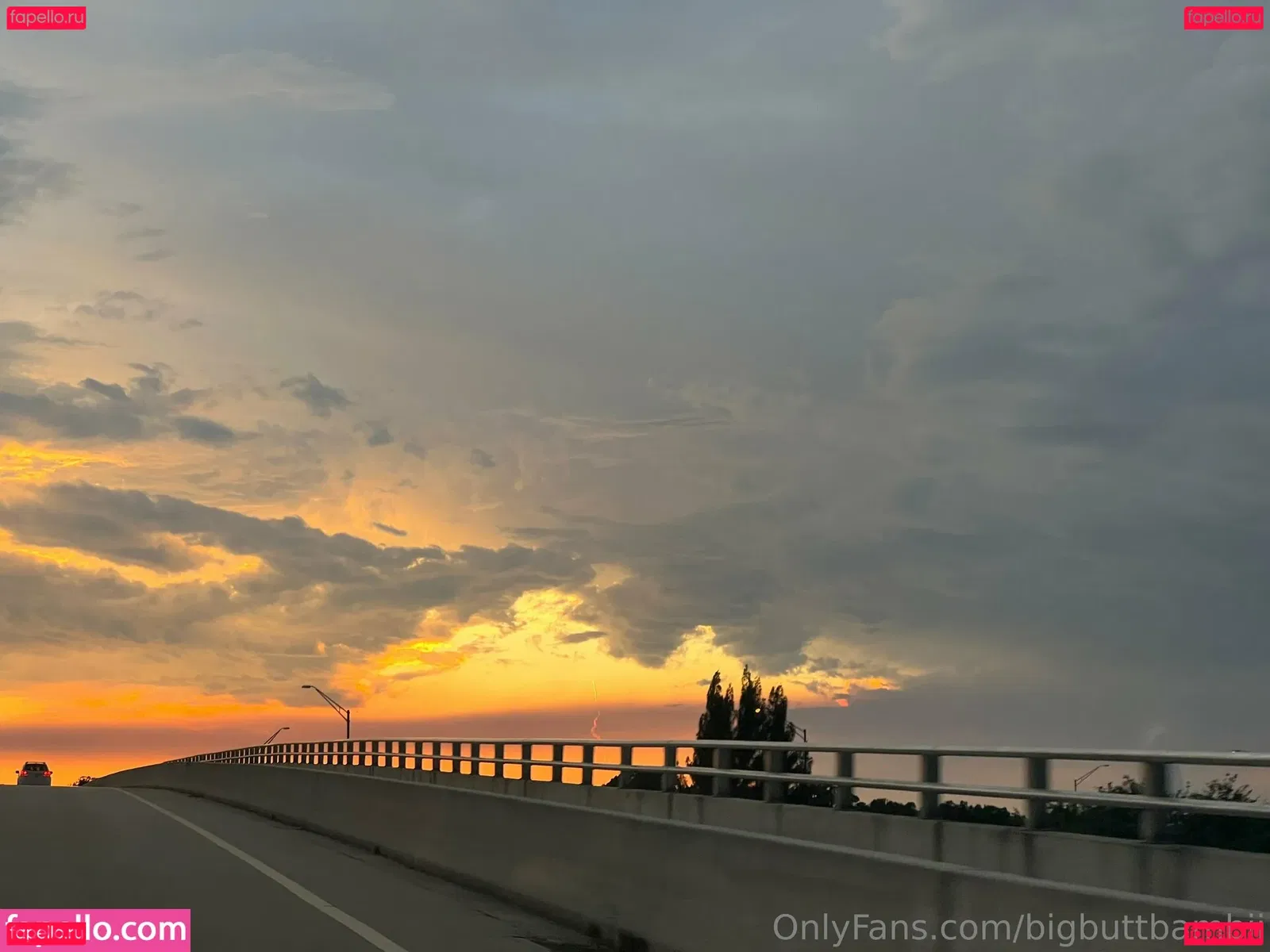 vanessaselene Onlyfans Photo Gallery 