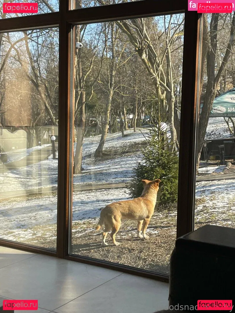 woodsnaomi Onlyfans Photo Gallery 