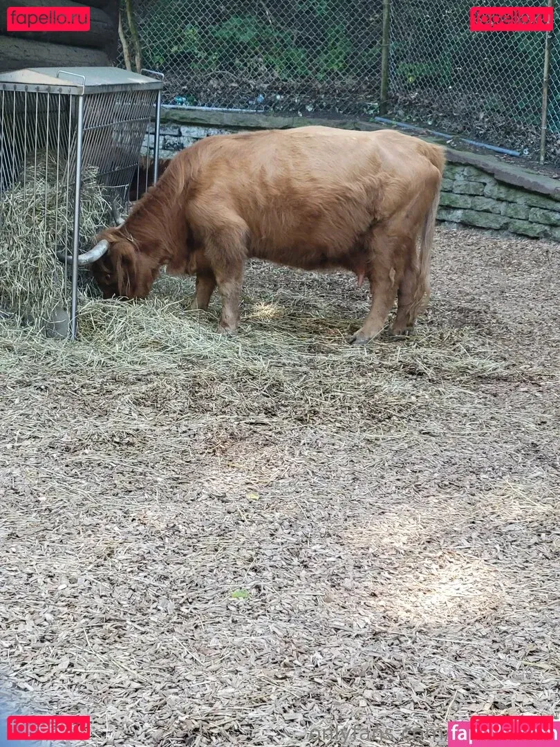 sonjahaze Onlyfans Photo Gallery 