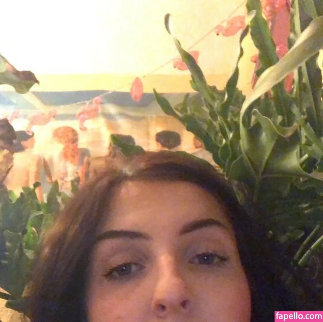 Megan Bitchell Onlyfans Photo Gallery 