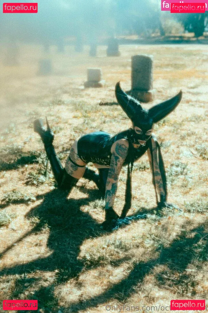 octavekitten Onlyfans Photo Gallery 