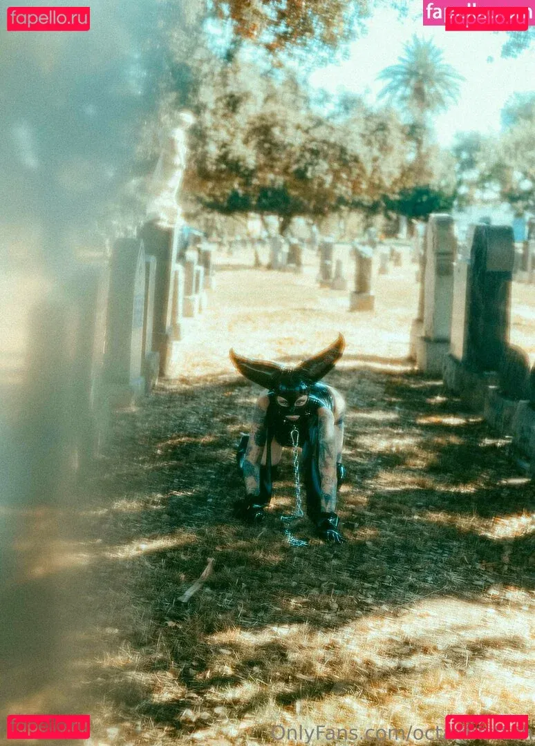 octavekitten Onlyfans Photo Gallery 