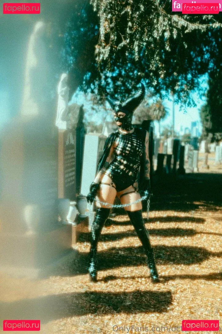 octavekitten Onlyfans Photo Gallery 