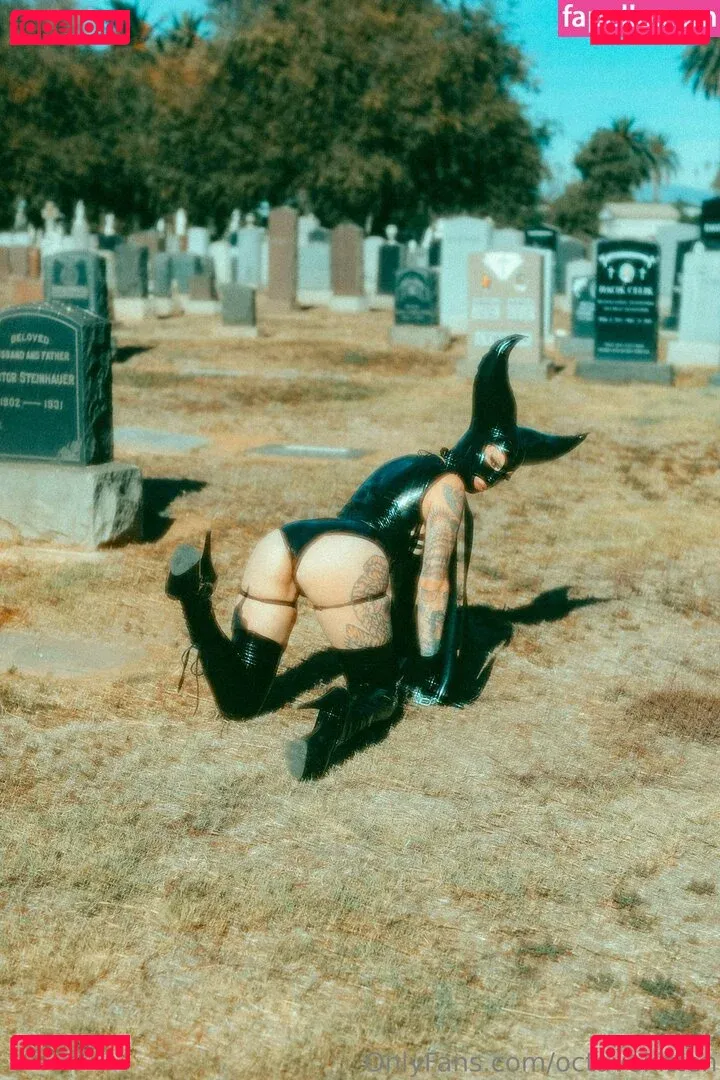 octavekitten Onlyfans Photo Gallery 