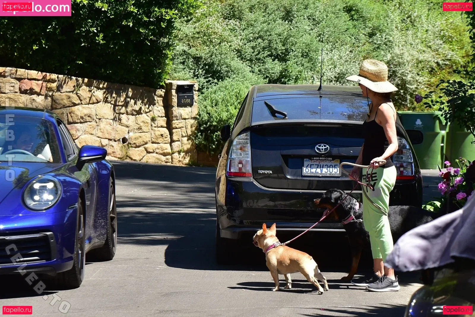 Lisa Rinna Onlyfans Photo Gallery 