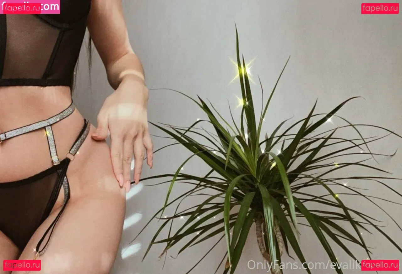 evalikes_free Onlyfans Photo Gallery 