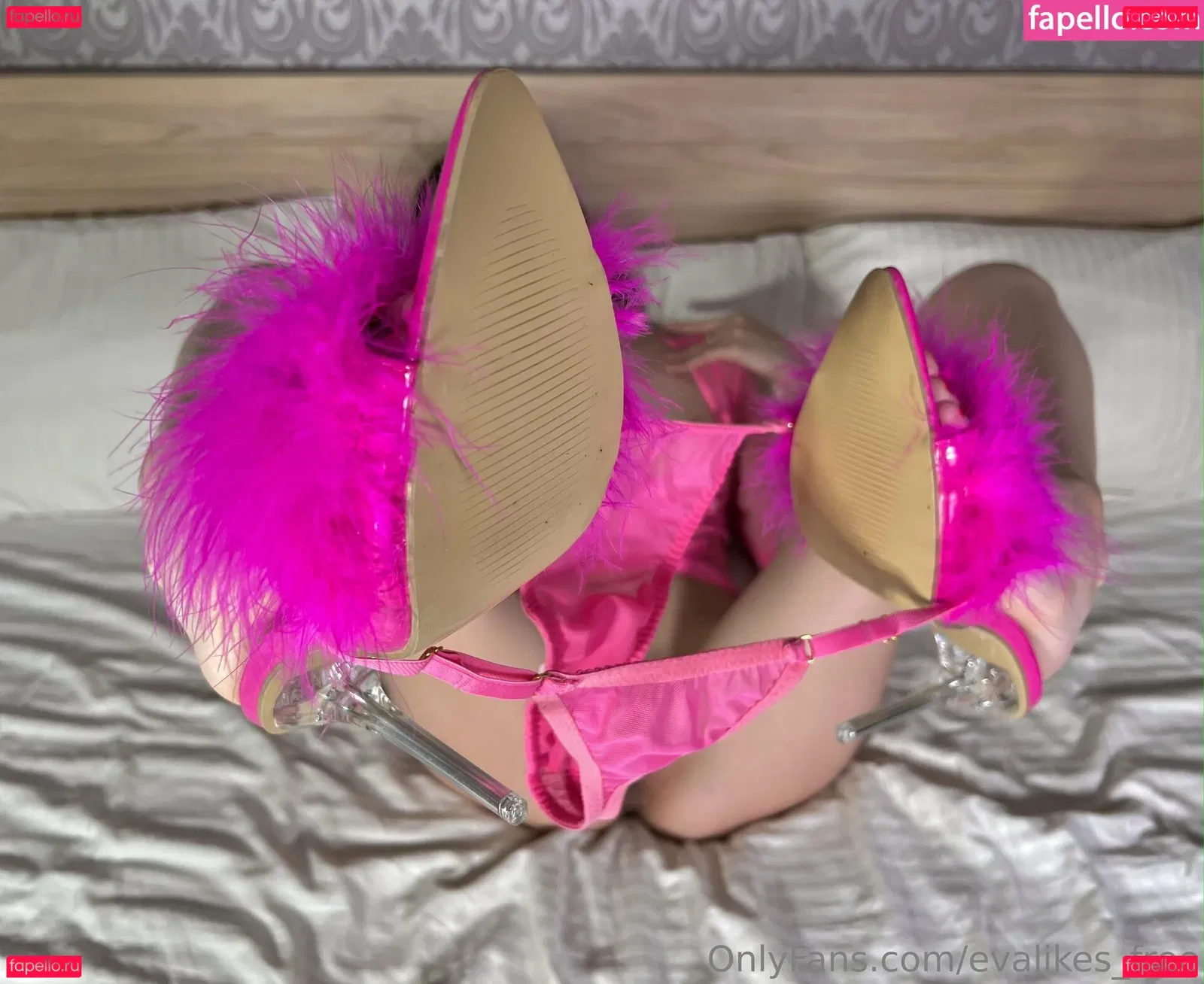 evalikes_free Onlyfans Photo Gallery 