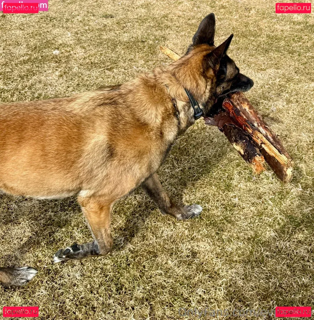 evparrish Onlyfans Photo Gallery 