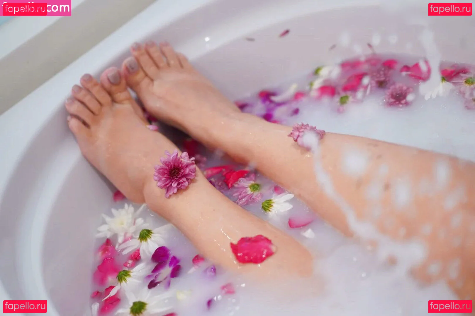 dilylabloom Onlyfans Photo Gallery 