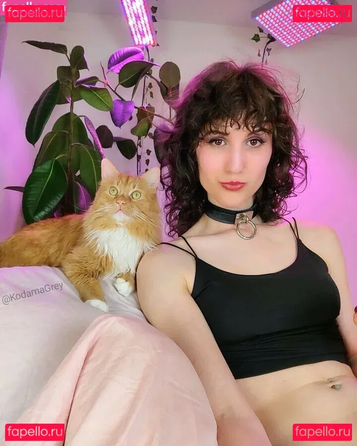 Kodama Grey Onlyfans Photo Gallery 