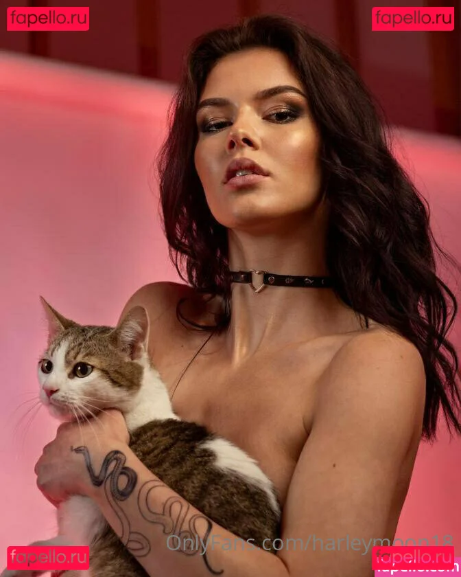 rekadora Onlyfans Photo Gallery 