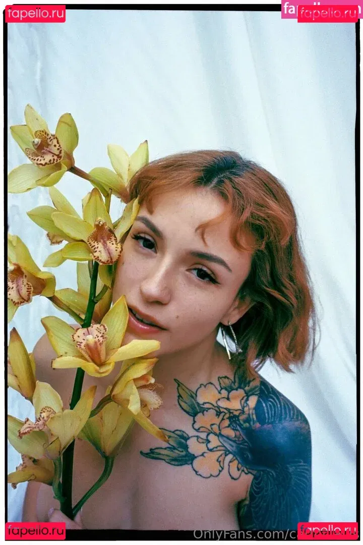 Cvrmillv Onlyfans Photo Gallery 