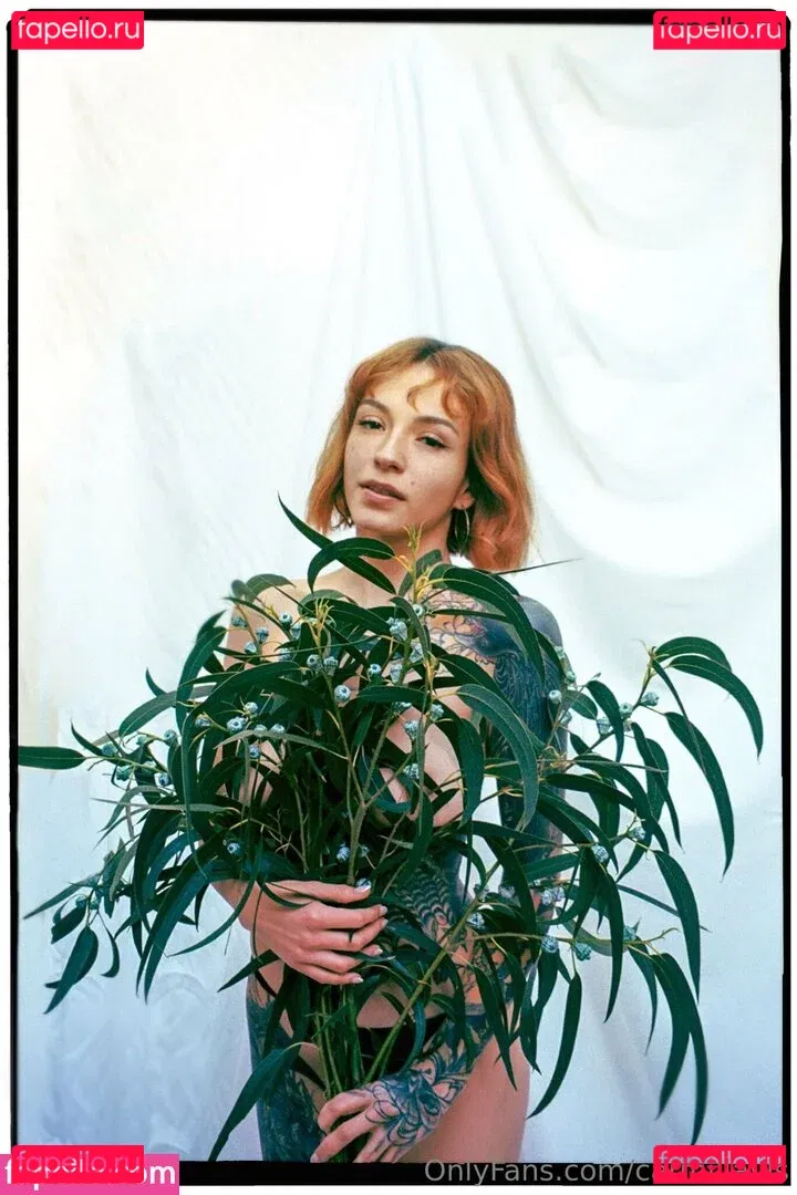 Cvrmillv Onlyfans Photo Gallery 