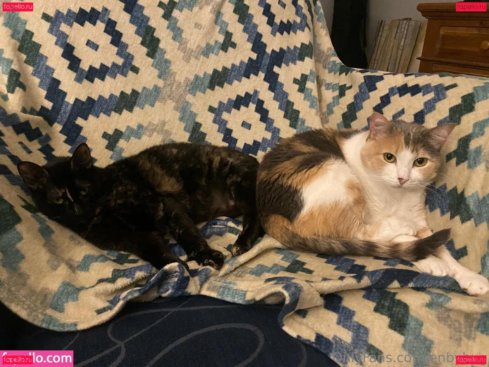 enbybug Onlyfans Photo Gallery 