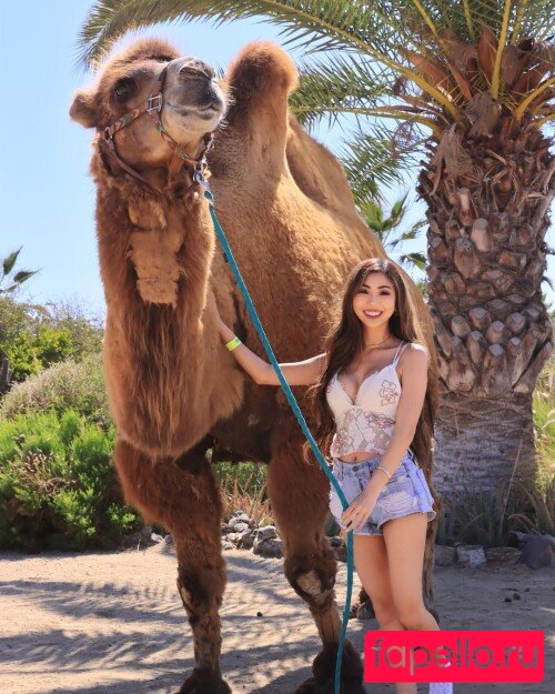 Supcaitlin Onlyfans Photo Gallery 