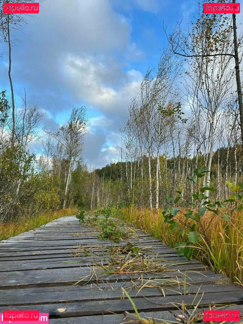 kirateen Onlyfans Photo Gallery 