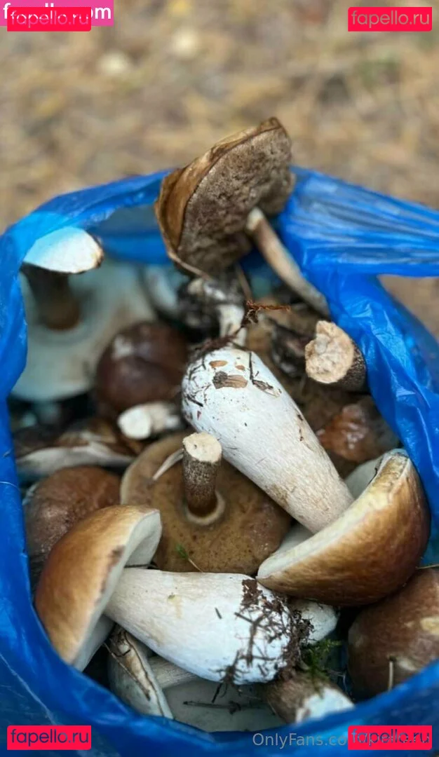 kirateen Onlyfans Photo Gallery 