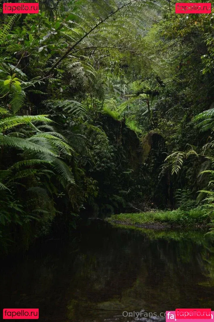 kirateen Onlyfans Photo Gallery 